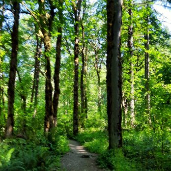 Tryon Creek State Park - Parks Near Me - Portland, Oregon Tryon Creek State Park - Parks Near Me - Portland, Oregon