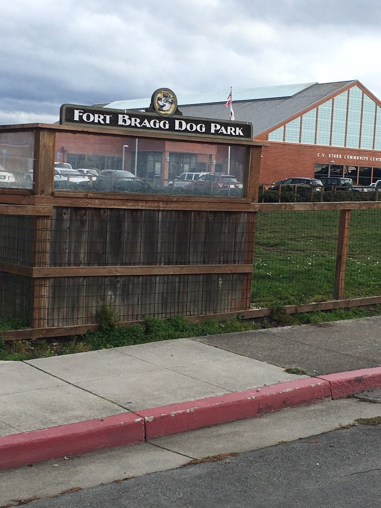 FORT BRAGG DOG PARK 65 Photos & 14 Reviews Maple St And S Lincoln St, Fort Bragg, California