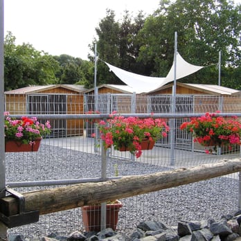 Hundepension Dogs Garden - Pet Boarding Near Me - Bensheim, HE Hundepension Dogs Garden - Pet Boarding Near Me - Bensheim, HE
