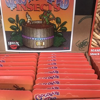 Oasis Travel Center - Chocolate Dipped Insects! - Visitor Centers Near Me - Robertsdale, Alabama Oasis Travel Center - Chocolate Dipped Insects! - Visitor Centers Near Me - Robertsdale, Alabama