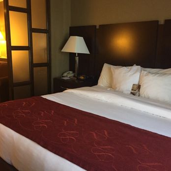 Comfort Suites - King bed - Hotels Near Me - Commerce, Georgia Comfort Suites - King bed - Hotels Near Me - Commerce, Georgia