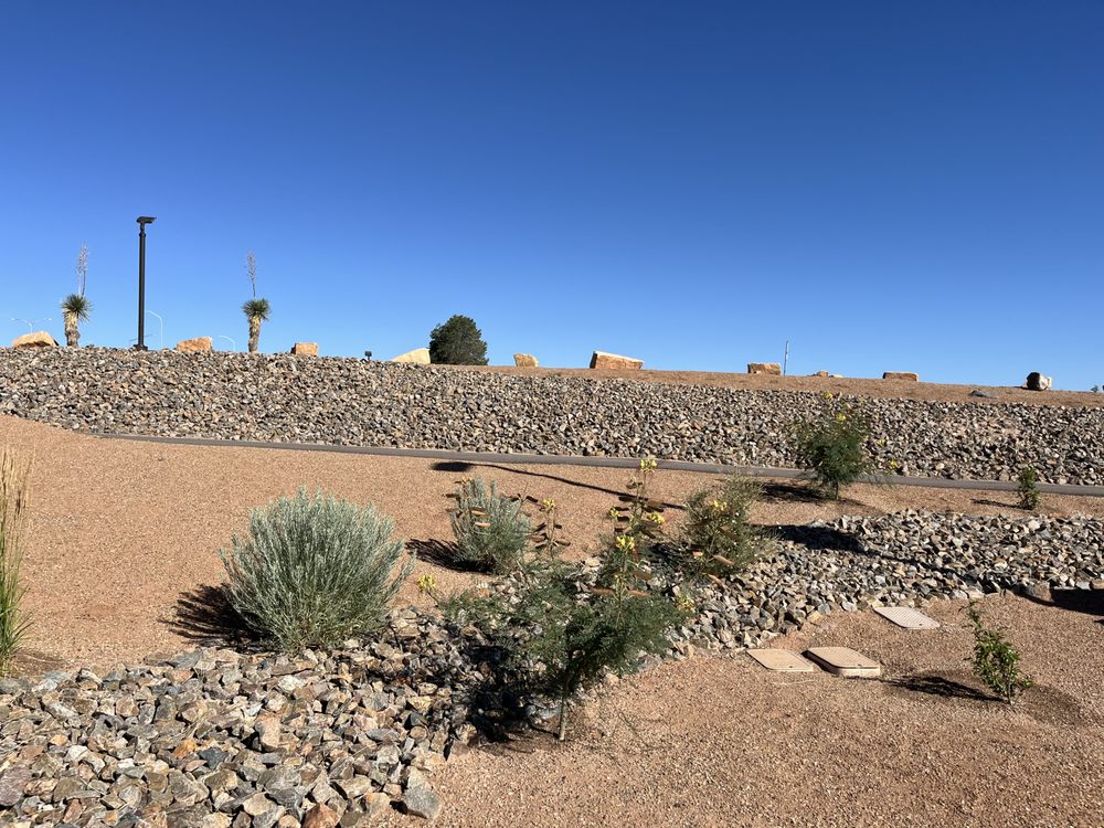RA Landscape - tree service in Santa Fe, NM