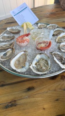 The Shuck Shack by null