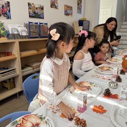 Montessori Academy Of Learning
