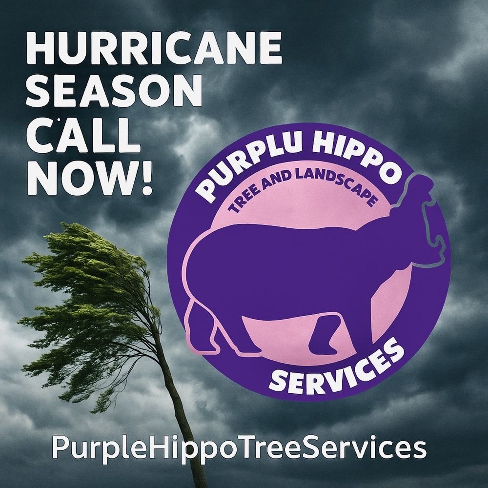 Purple Hippo Tree and Landscape Services - tree service in Ocoee, FL