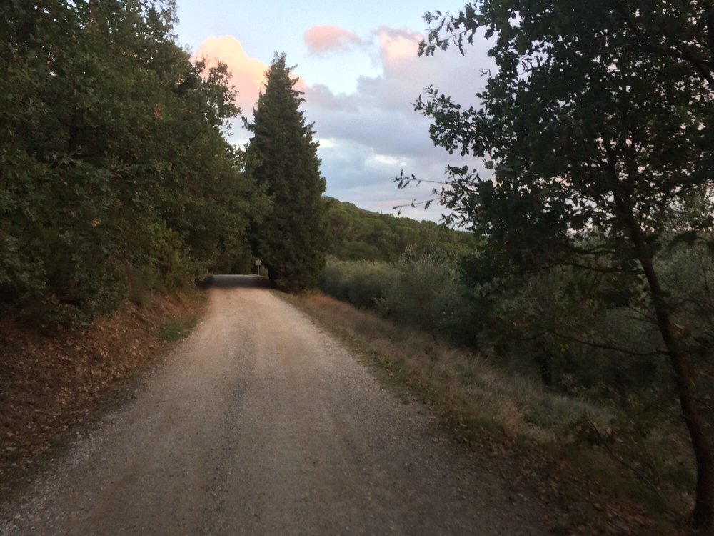 Parco di Poggio Valicaia