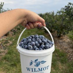 Wilmot Orchards