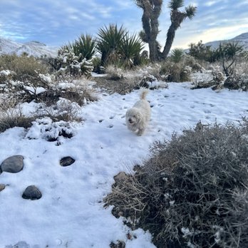 Late Night Trailhead - Hiking Near Me - Blue Diamond, Nevada