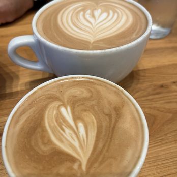 Frothy Monkey - Turtle Latte - Coffee & Tea Near Me - Chattanooga, Tennessee