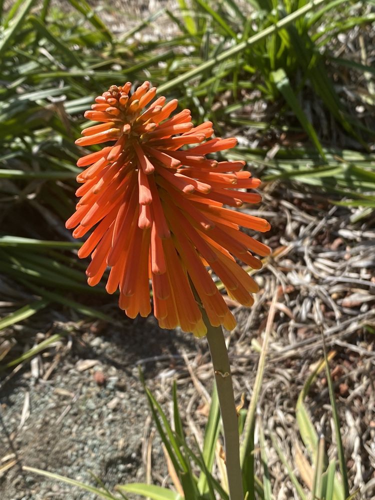 Social spots from Leaning Pine Arboretum