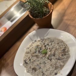 EF Educational Tours - Mushroom risotto in Spain