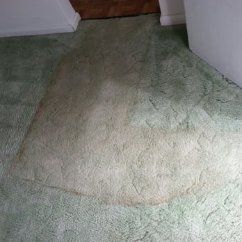Clean Step Carpet Cleaning - Carpet Cleaning Near Me