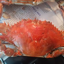 Skipjack's Seafood