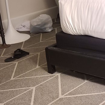 Kimpton Brice Hotel - Watch out for the sneaky bed frame... - Hotels Near Me - Savannah, Georgia Kimpton Brice Hotel - Watch out for the sneaky bed frame... - Hotels Near Me - Savannah, Georgia