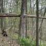 Photo of Patapsco Valley State Park - McKeldin Area