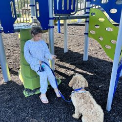 McMurry Park - At the playground
