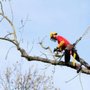 Photo of Gardner's Tree Services