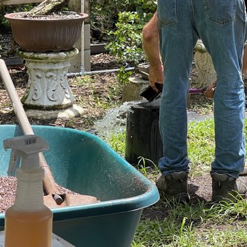 Miami Bonsai Specialists - Cleaning for us - Nurseries & Gardening Near Me - Miami, Florida Miami Bonsai Specialists - Cleaning for us - Nurseries & Gardening Near Me - Miami, Florida