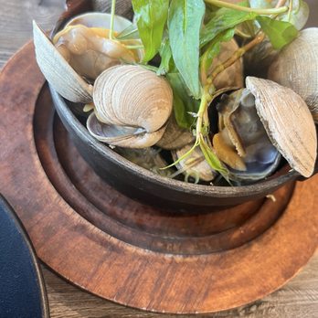 Blue Monkey Cafe & Restaurant - Manila clams - Vietnamese Near Me - San Jose, California Blue Monkey Cafe & Restaurant - Manila clams - Vietnamese Near Me - San Jose, California