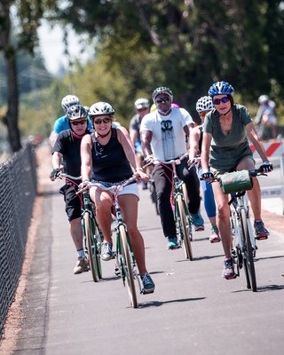 Napa Valley Vine Trail by null