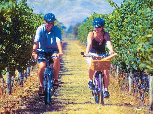 Ash Ridge Winery by null