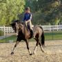 Photo of Will Mar Equestrian Center