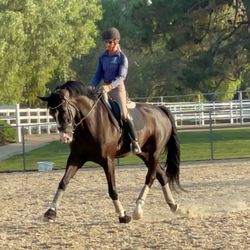 Will Mar Equestrian Center