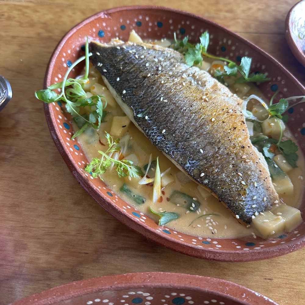 Tlali - Branzino Michmole - Mexican Near Me - Upper Darby Township, Pennsylvania Tlali - Branzino Michmole - Mexican Near Me - Upper Darby Township, Pennsylvania