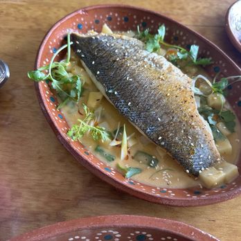 Tlali - Branzino Michmole - Mexican Near Me - Upper Darby Township, Pennsylvania Tlali - Branzino Michmole - Mexican Near Me - Upper Darby Township, Pennsylvania
