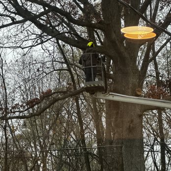Turbo Tree Care - Tree Services Near Me - Sterling Heights, Michigan Turbo Tree Care - Tree Services Near Me - Sterling Heights, Michigan