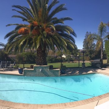 No Problem Pools - Back yard pool area . - General Contractors Near Me - San Jose, California