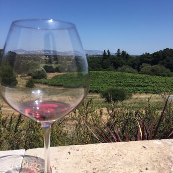 Fog Crest Vineyard - This view - Wine Tasting Room Near Me - Sebastopol, California