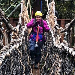 Ziplinex