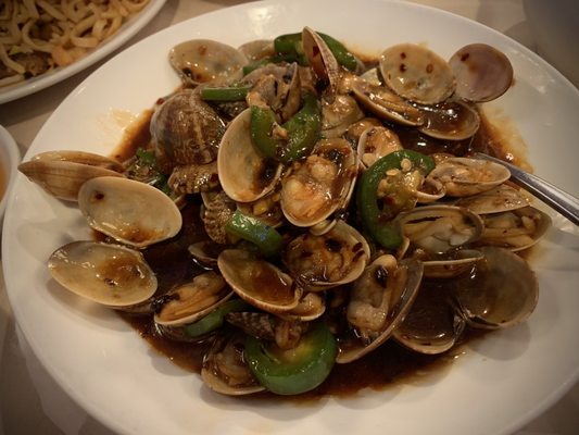 Photo of China Star - Lowell, MA, US. Excellent Sauteed Baby Clams in Black Bean Sauce