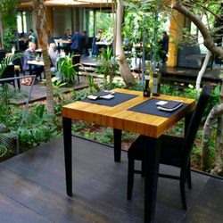 Izumi Sushi - The pleasure of dining among palm trees in a wrestle with the capricious polish weather.