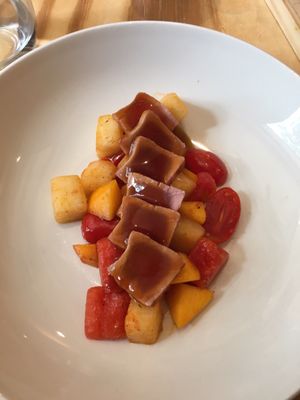 Somiatruites by null