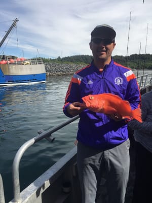 Kodiak Island Adventures by null