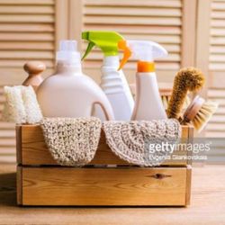 The Cleaning Guru Girls