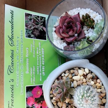 Francis's Cactus Succulents - Nurseries & Gardening Near Me - Los Angeles, California Francis's Cactus Succulents - Nurseries & Gardening Near Me - Los Angeles, California