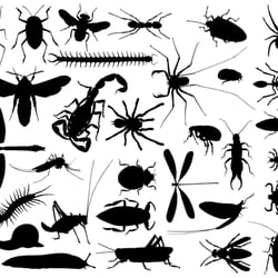 E & R Exterminating Company