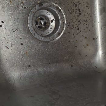 AJ Wholesale Distributors - Worms that were in the the dog food - Wholesale Stores Near Me - Long Beach, California