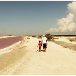Río Lagartos - Laguna Rosada