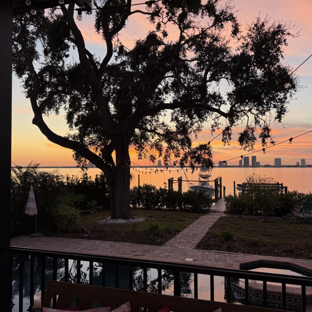 Affordable Arbor Professionals - Healthy again oak tree - Tree Services Near Me - Parrish, Florida