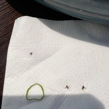 Hirame Sushi - Flies - Sushi Bars Near Me - Aldergrove, British Columbia Hirame Sushi - Flies - Sushi Bars Near Me - Aldergrove, British Columbia