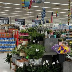 Hy-Vee