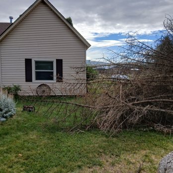 Rent a son - Tree Services Near Me - Idaho Falls, Idaho Rent a son - Tree Services Near Me - Idaho Falls, Idaho