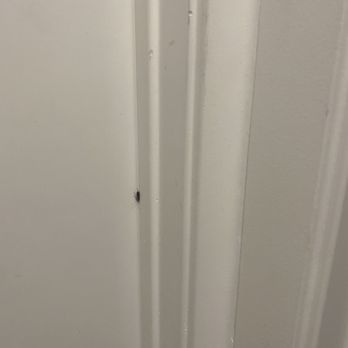 The James Apartment Homes - roach on door - Apartments Near Me - Riverside, California The James Apartment Homes - roach on door - Apartments Near Me - Riverside, California