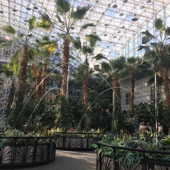 Navy Pier - Landmarks & Historical Buildings Near Me - Chicago, Illinois Navy Pier - Landmarks & Historical Buildings Near Me - Chicago, Illinois