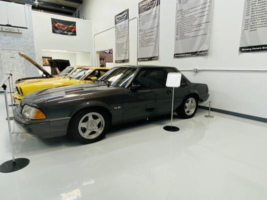 Mustang Owner's Museum by null