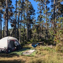 Woodside Campground - Site 41 in the morning